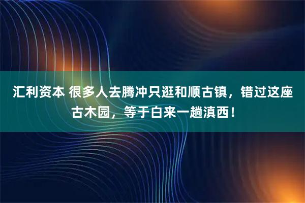汇利资本 很多人去腾冲只逛和顺古镇，错过这座古木园，等于白来一趟滇西！