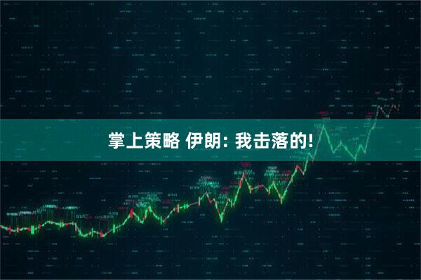 掌上策略 伊朗: 我击落的!